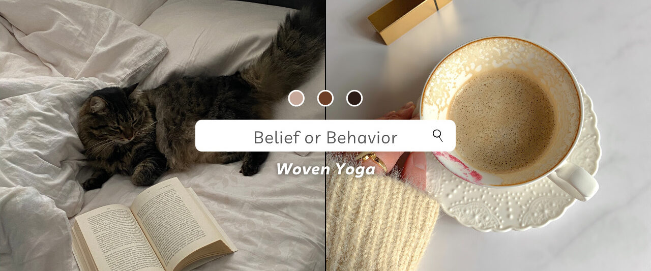 belief or behavior banner