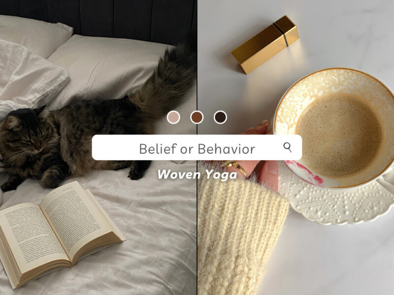 belief or behavior banner